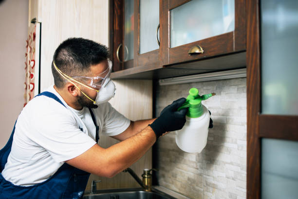 Best Affordable Pest Control Services  in Ferron, UT