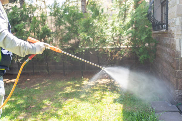 Best Flea Control Services  in Ferron, UT