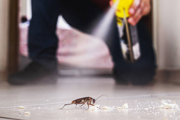 Best Emergency Pest Control  in Ferron, UT