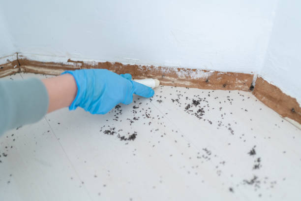 Best Commercial Pest Control Services  in Ferron, UT