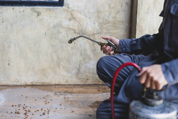 Best Affordable Pest Control Services  in Ferron, UT