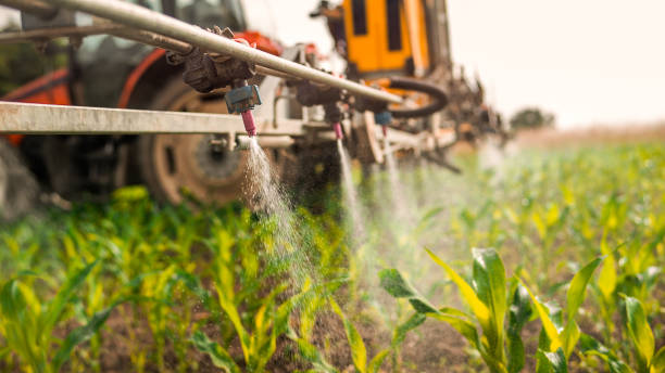 Best Ant Control Services  in Ferron, UT